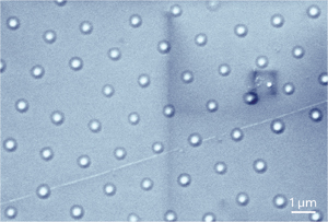 Fig. 1: Scanning electron microscope image of the fabricated silicon nanobump arrays.