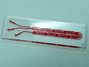 Fig. 1: Photograph of a microfluidic device for mixing fluids with large viscosity contrast.
