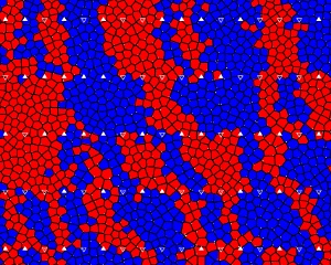 Magnetization profiles calculated using the GFP model for a fine-grained magnetic medium. Red and blue represent opposite polarities of magnetization, and white arrows indicate the polarity of the written bits.
