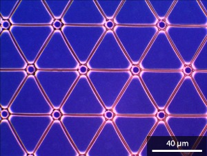 Optical microscopy image of a fully connected hexagonal network of microwires prepared by the self-assembly of gold nanoparticles on a photoresist template.
