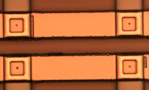 Optical microscopy image of four reconfigurable GeTe phase-change switches.  