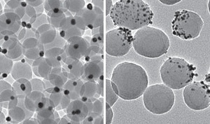 Transmission electron microscopy images of snowman-like Janus particles consisting of a large silica sphere and multiple small gold nanoparticles. Particles are ~50 nanometers in diameter.