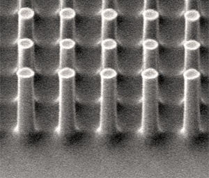 A scanning electron microscopy image of silicon nanopillars on a surface-textured thin film for low-cost solar cells