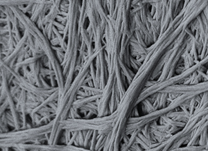 Scanning electron microscopy image of fibrous structures formed by self-assembly of ultrasmall peptides. These structures closely resemble collagen fibers.