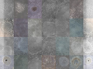 A collage of human embryonic stem cell images