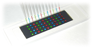 The droplet microarray developed by the Institute of Bioengineering and Nanotechnology