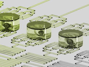 A graphical illustration of the ‘fish and chips’ microfluidic platform