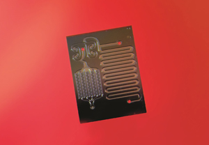 A silicon-based viral extraction chip developed at the A*STAR Institute of Microelectronics