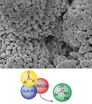 The self-supporting catalyst (top) is covered with tiny chiral pockets, within which simple starting materials (bottom, left) are converted into chiral amino acid precursors (bottom, right).