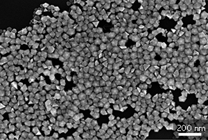 Scanning-electron micrograph of an ensemble of highly uniform silver nanodecahedrons. Each particle is approximately 50 nanometers across.
