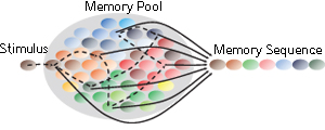 A schematic diagram depicting the recall of a sequence of memory items when the network containing the pool of memory items is triggered by a stimulus.