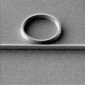 Microscopy image of a waveguide-ring resonator; ring diameter is approximately 5 micrometers.