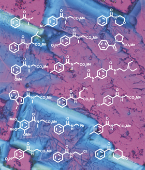 A polarized light micrograph of iron(II) sulfate crystals (background) that can catalyze formation of amide compounds (white structures) cheaply and efficiently.