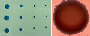By eye, the holes produced in an alumina plate by ultrasonic machining (left) look smooth, but under a microscope cracks and chips at the edges (right) become apparent.