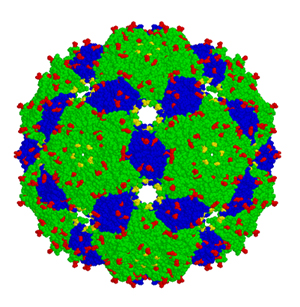 Schematic representation of the Qβ VLP (blue and green) before coupling to hemagglutinin, one of the proteins present on the surface of influenza viruses that elicit an immune response in humans.