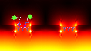 Localized surface plasmon resonance (bright areas) around a gold nanohole enhances the fluorescence of a biomarker dye (Y-shaped molecule) when a specific molecule of interest (purple circle) is present.