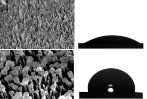 Scanning electron microscopy images reveal how the transformation of a metal–organic microneedle surface (top) into a micromushroom interface (bottom) causes oil droplets to bead up instead of spreading out.