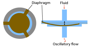 Top (left) and side (right) views of the device. Fluid flow causes the diaphragm to undergo elastic oscillations, producing an oscillatory flow at the outlet.