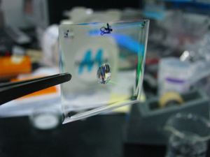 A water droplet adheres to a patterned polycarbonate film even when held vertically.