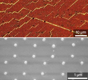 Dark-field microscopy (top) and scanning electron microscopy (bottom) images showing an array of plasmonic nanoparticles used as a highly sensitive sensor.