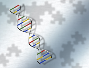 Phen-Gen can help clinicians puzzle out the genetic cause of undiagnosed disorders.