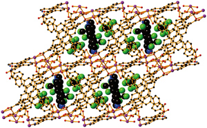 A three-dimensional metal–organic framework with interpenetrating bridging ligands and guest molecules denoted as large balls (color codes: cadmium, dark magenta; chlorine, green; oxygen, red; nitrogen, blue; carbon, black).