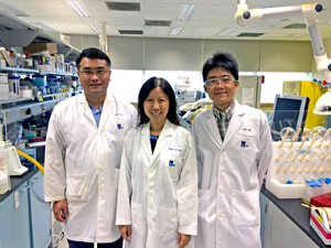 From left to right: Chuan Yang, research scientist, Yi Yan Yang, group leader and Xin Ding, postdoctoral fellow, at the A*STAR Institute of Bioengineering and Nanotechnology.