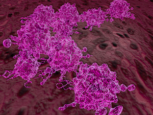 Blocking the activity of an abundant protein found on the surface of liver cancer cells could lead to new therapies for one of the most common and deadly cancers in the world.