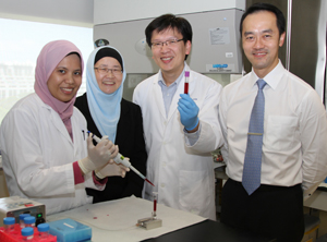 (From left) The research team: Nur-Afidah Mohd Suhaimi, Jackie Y. Ying, Min-Han Tan from IBN with Poh Koon Koh from Fortis Surgical Hospital
