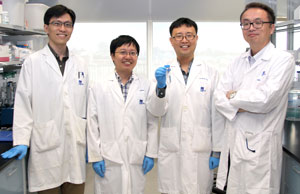 The IBN researchers who developed the new drug-delivering hydrogel for the treatment of hepatitis C. From right: Motoichi Kurisawa, Ki Hyun Bae, Keming Xu and Fan Lee.