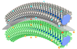 Illustration of the asymmetric supercapacitor, consisting of vertically aligned graphene nanosheets coated with iron nitride and titanium nitride as the anode and cathode, respectively.
