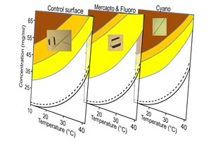 Temperature–concentration phase diagrams aid planning of crystallization processes on an industrial scale.