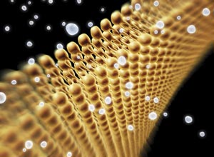 Software developed at A*STAR has greatly improved laboratory data analysis so that molecules such as lipids (pictured) can be correctly identified in biological samples.