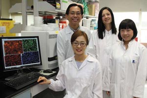(from left to right): Lit-Hsin Loo (BII), Ran Su (BII), Daniele Zink (IBN), and Sijing Xiong (IBN).