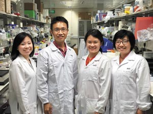 Study authors from the Skin Stem Cells lab group at the A*STAR Institute of Medical Biology: Sophia Beng Hui Lim, Xinhong Lim, Si Hui Tan and Carol Ka Lou Yu.