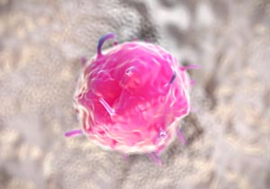 Small splicing-regulated variations in RNA codes affect the rate of protein production in cells — a process that influences embryonic stem cells differentiation.