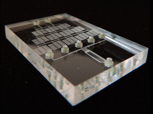 A microfluidic device made by A*STAR scientists for on-the-spot blood analysis.