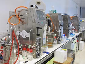 A 50 liter fermenter for biomass conversion at the ICES laboratory.