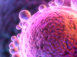 Preventing Cdk1 activity keeps egg cells in a dormant state that is essential for female fertility.