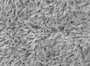 Nickel cobalt oxide nanowires — less than 100 nanometers across and roughly 3.5 micrometers long — boost the performance of the hybrid zinc battery.