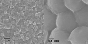 Scanning electron microscopy image showing a sheet of the MoS2-wrapped sulfur nanoparticles.