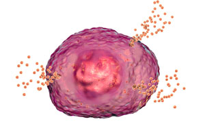 During a bout of allergic rhinitis (hay fever), white blood cells respond to contact with allergens, such as dust mite fecal matter, by releasing histamine, which creates swelling and inflammation. For some people this obvious part of the process doesn't occur, and so they will probably never know they are having an allergic response to an allergen.