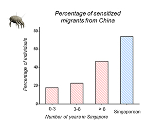 People from temperate climates, such as mainland China and Hong Kong, generally become more sensitive to house dust mites the longer they stay in Singapore, showing that this type of reaction is exacerbated by exposure and not genetics.