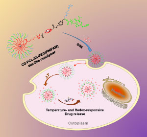 The change in temperature and chemical environment inside the cell triggers the nanoparticle to release its drug payload.