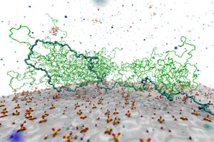 Computer models have uncovered how superplasticizers adsorb onto the surface of cement particles.