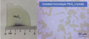 Two-dimensional monolayer MoS2 was grown on sapphire (left). The optical microscope image on the right shows isolated monolayer MoS2 crystals at the periphery of the film.