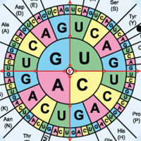 A better way to design genes - A*STAR Research